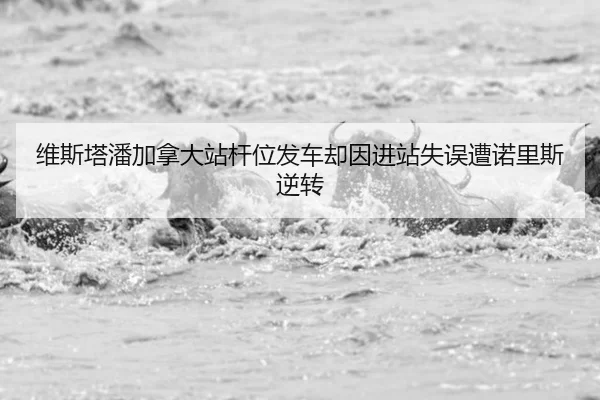wei-si-ta-pan-jia-na-da-zhan-gan-wei-fa-che-que-yin-jin-zhan-shi-wu-zao-nuo-li-si-ni-zhuan-2-659.jpg